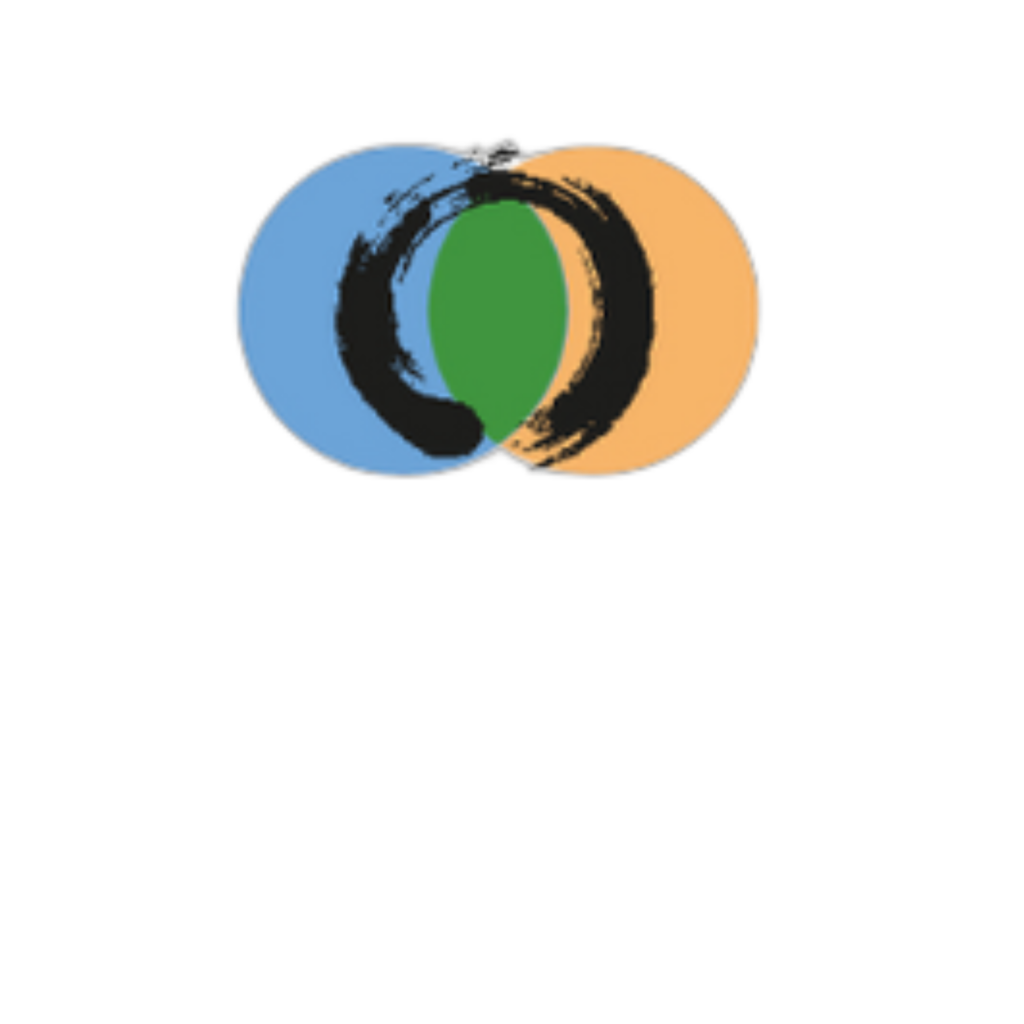 Ce logo est celui de la première activité du docteur Alexandre : 3 cercles de couleurs qui s'imbriquent et forme un œil : la première activité du docteur Alexandre est l'épidémiologie : étude et surveillance des troupeaux.