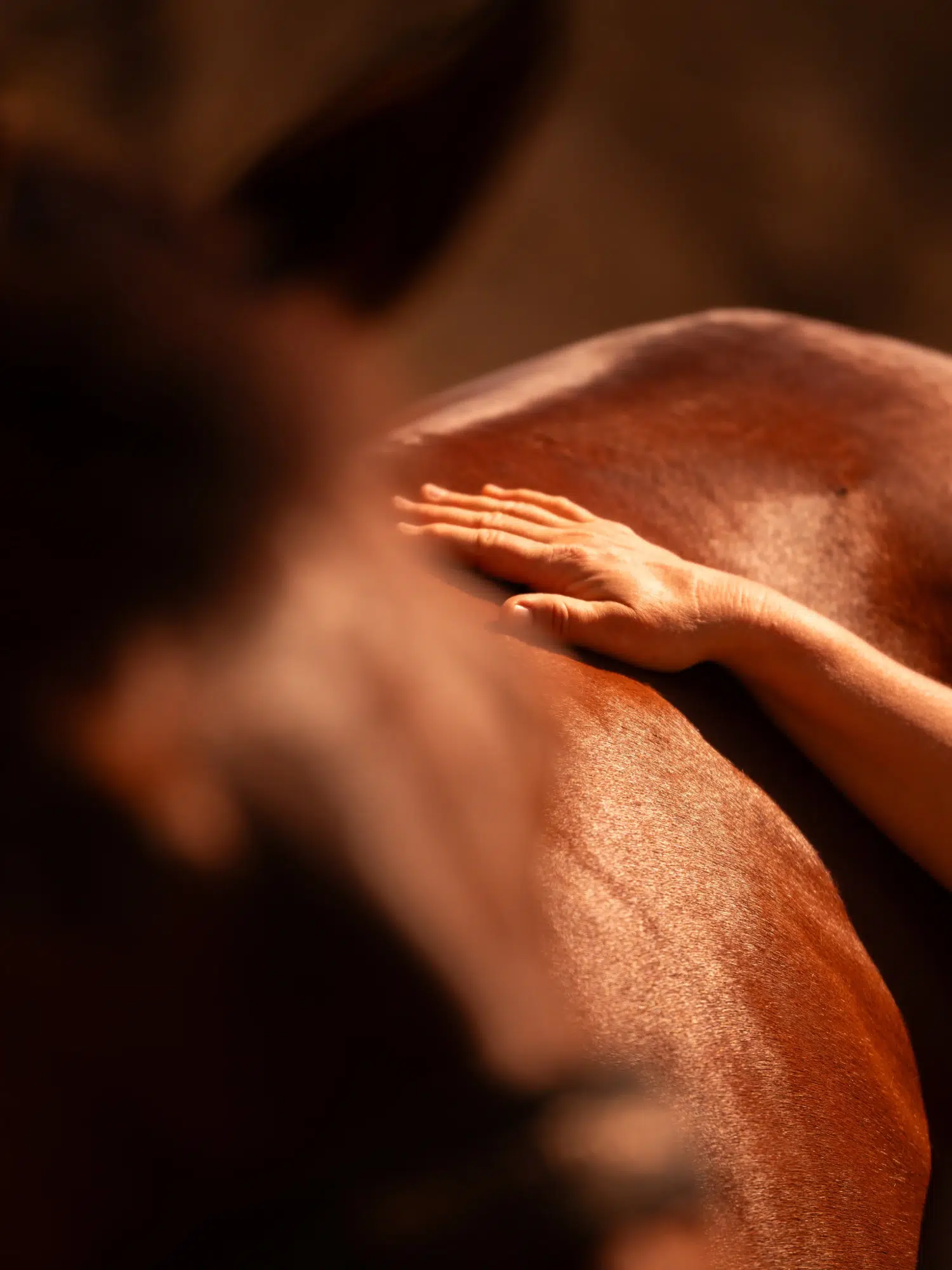 vétérinaire paca,expertise médicale,expertise vétérinaire,approche globale,respect du bien être du cheval,shiatsu,acupuncture,pratique douce,accompagnement,soin adapté,médecin intégrative équine,soins non invasifs,écoute du cheval,compréhension du cheval,bouches du rhone,var,vaucluse,alpes de haute provence,vétérinaire diplomé,formation shiatsu,formation acupuncture,connaissances vétérinaire,techniques manuelles,pratiques énergétiques,veterinaire vaucluse,vétérinaire bouches du rhone,vétérinaire cheval vaucluse,vétérinaire cheval paca,étérinaire cheval var,vétérinaire cheval alpes de haute provence,vétérinaire poney paca,vétérinaire poney vaucluse,vétérinaire poney var,vétérinaire poney alpes de haute provence,vétérinaire poney bouches du rhone,shiatsu paca,shiatsu bouches du rhone,shiatsu alpes de haute provence,shiatsu var,shiatsu vaucluse,acupuncture var,acupuncture vaucluse,acupuncture alpes de haute provence,acupuncture bouches du rhone,acupuncture paca,médecine intégrative,vétérinaire en paca,pratiques complémentaires,vetepicare,bien être du cheval autrement