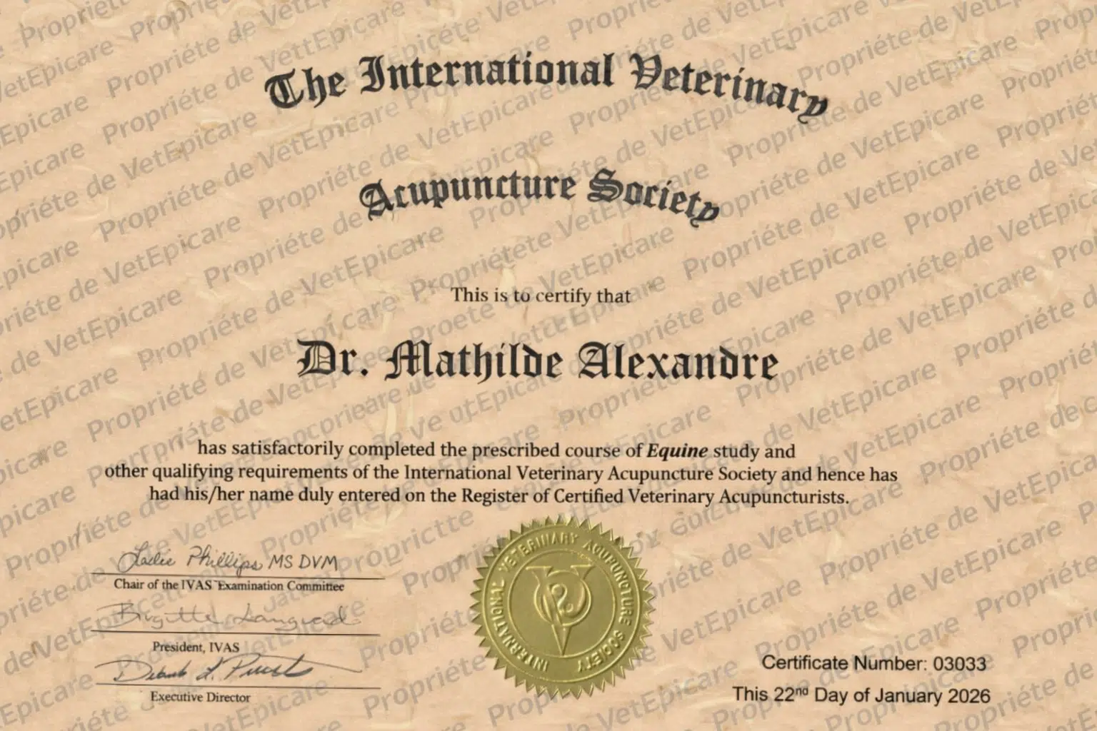 approche globale du cheval,bien-être équin,équilibre du cheval,vision globale du cheval,approche respectueuse du cheval,accompagnement global du cheval,écoute du cheval,relation humain-cheval,cohérence des soins équins